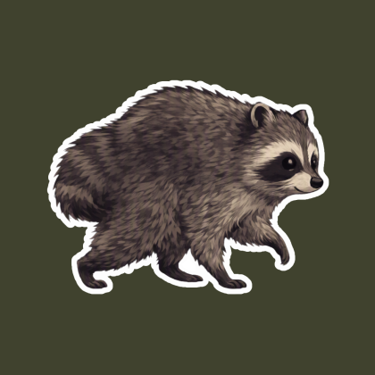 Jimothy, raccoon, Seattle, Jimothy the raccoon,
